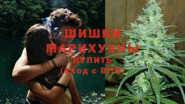 шишки Балахна